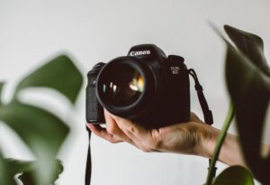 photography tips for beginners