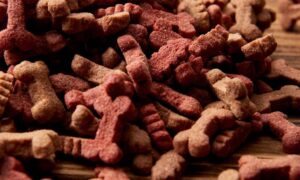 diabetic dog treats